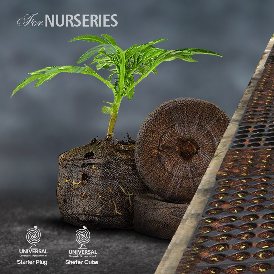 Browngrow coco peat for nusery plants